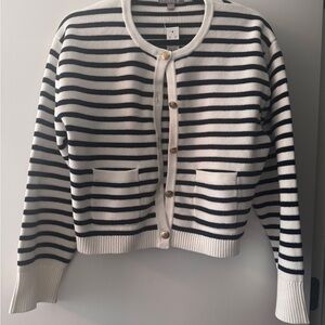 J. Crew Blue and White Stripe Lady Sweater